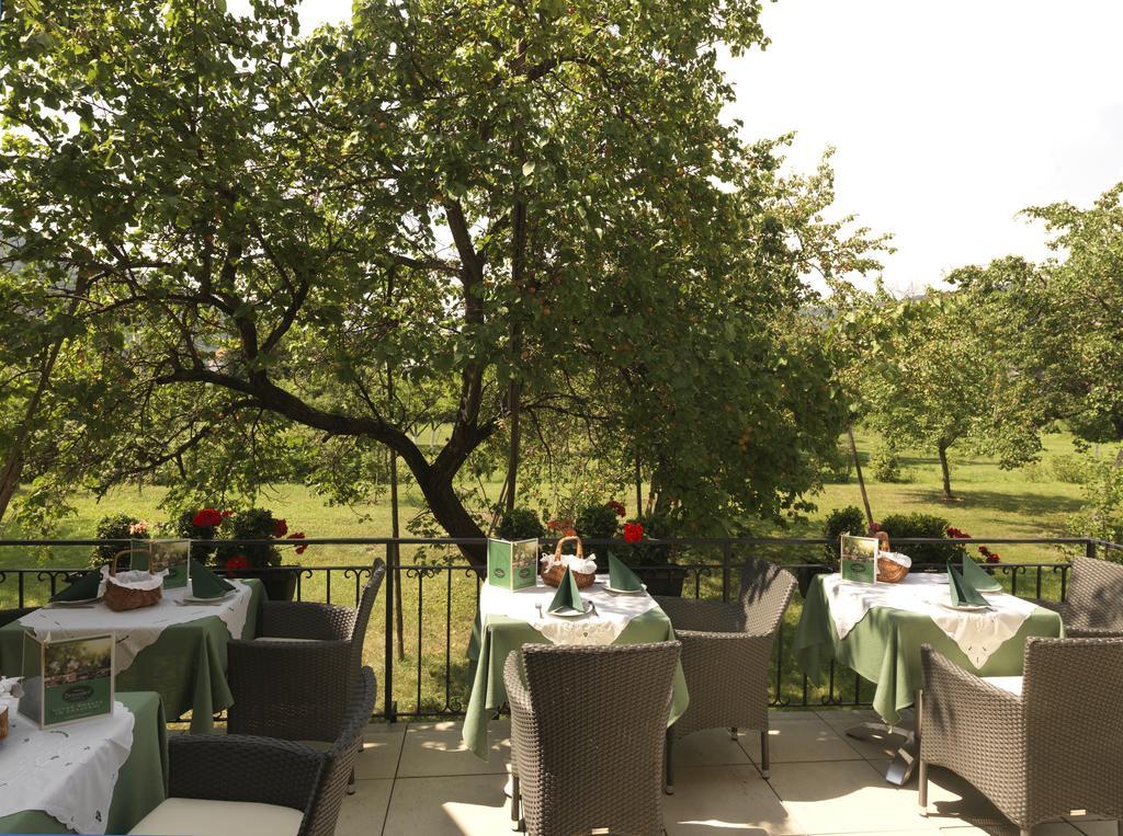 Donauhof - Hotel Garni Weißenkirchen in der Wachau Buitenkant foto