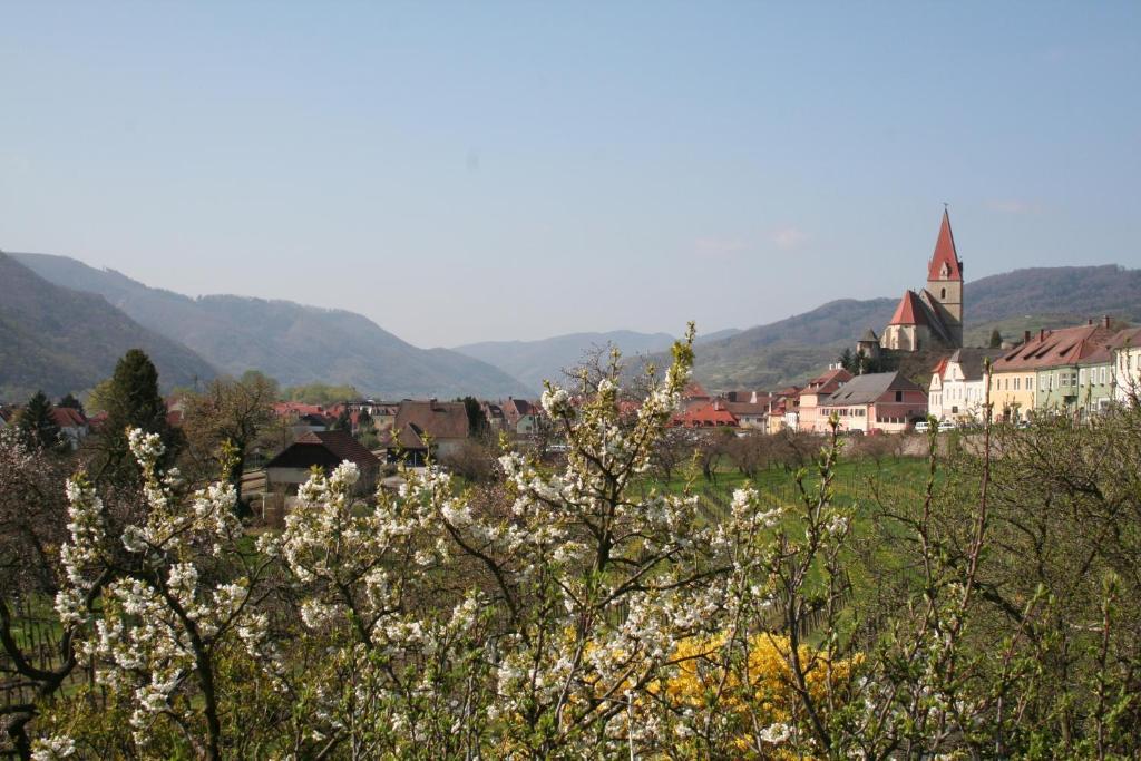 Donauhof - Hotel Garni Weißenkirchen in der Wachau Buitenkant foto